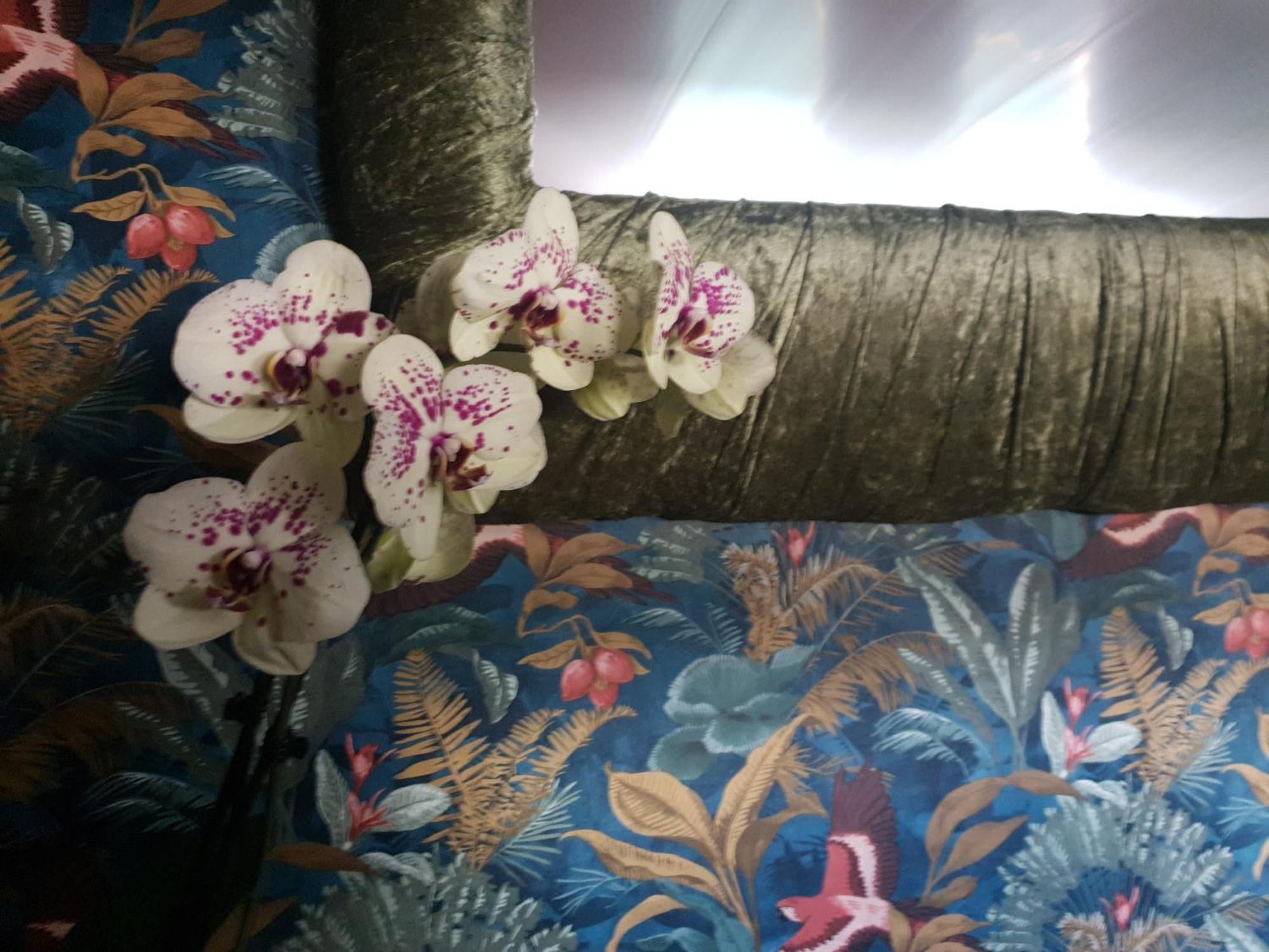 Jasmine Coral Jay Boutique Boatel Ocean Village Gibraltar Værelse billede