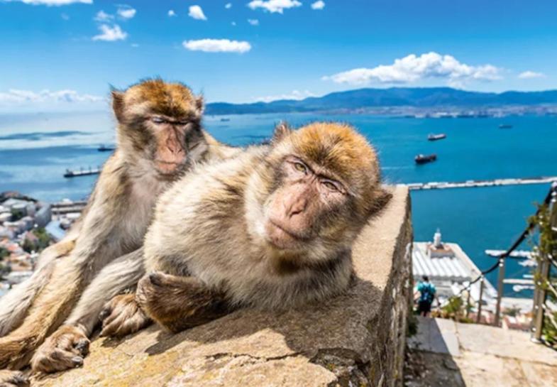 Jasmine Coral Jay Boutique Boatel Ocean Village Gibraltar Eksteriør billede